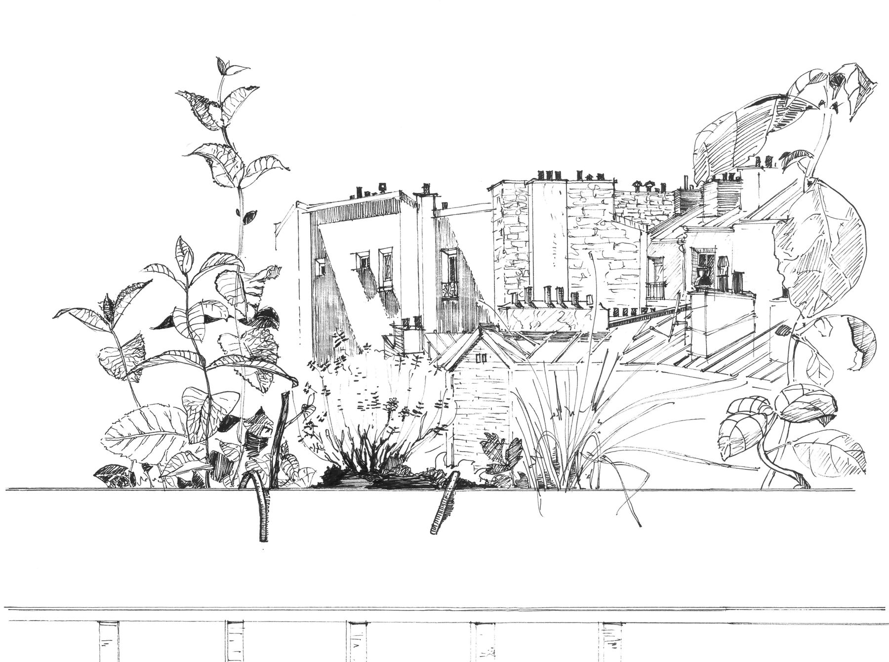 Illustration à la main — toitures parisiennes et végétation